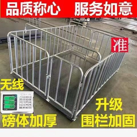 豬用無線圍欄電子地磅的優勢以及價格