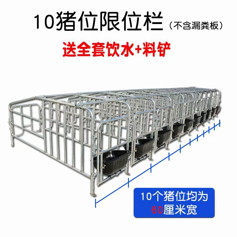 豬場定位欄畜牧養殖設備限位欄特點