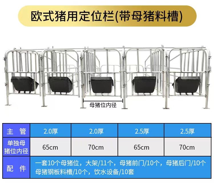 豬場妊娠初期母豬定位欄的安裝可定制